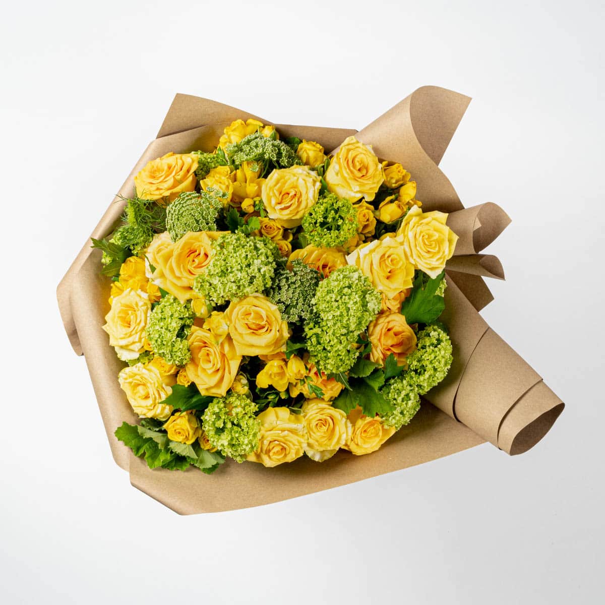 Fresh From the Studio